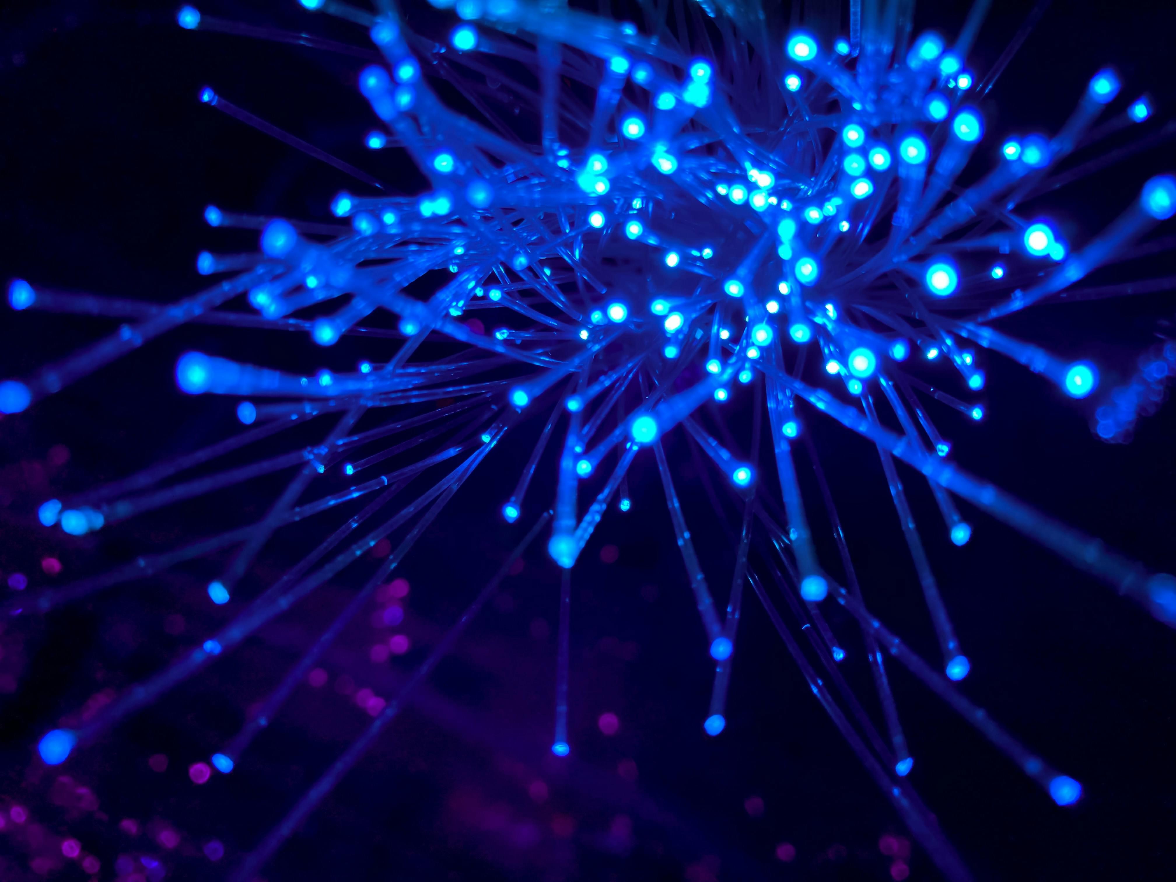 Cable Network CRM